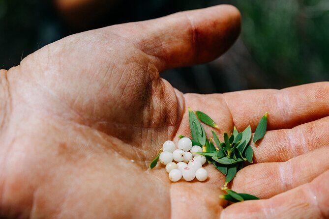 Wild Yarnbala - Authenticity and Atmosphere