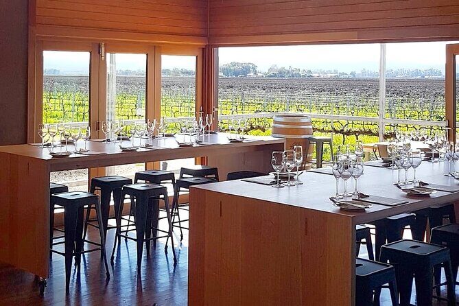 Wine Tasting Experience - Who Will Love This Experience?