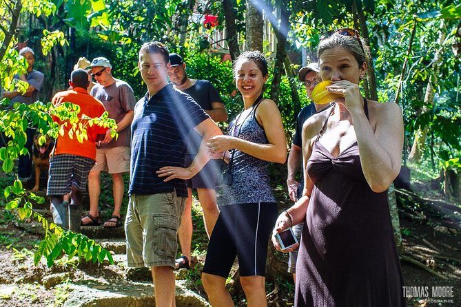 Zimbali's Rasta Tour Lunch - The Authentic Vegetarian Rasta Meal