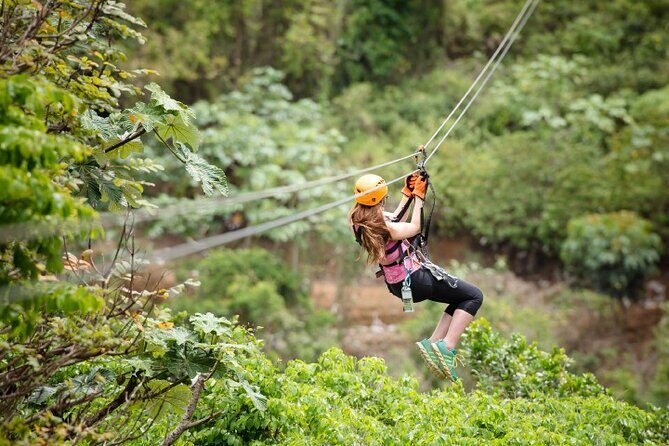 Zipline Adventure Tour - The Value of the ToroVerde Zipline Tour