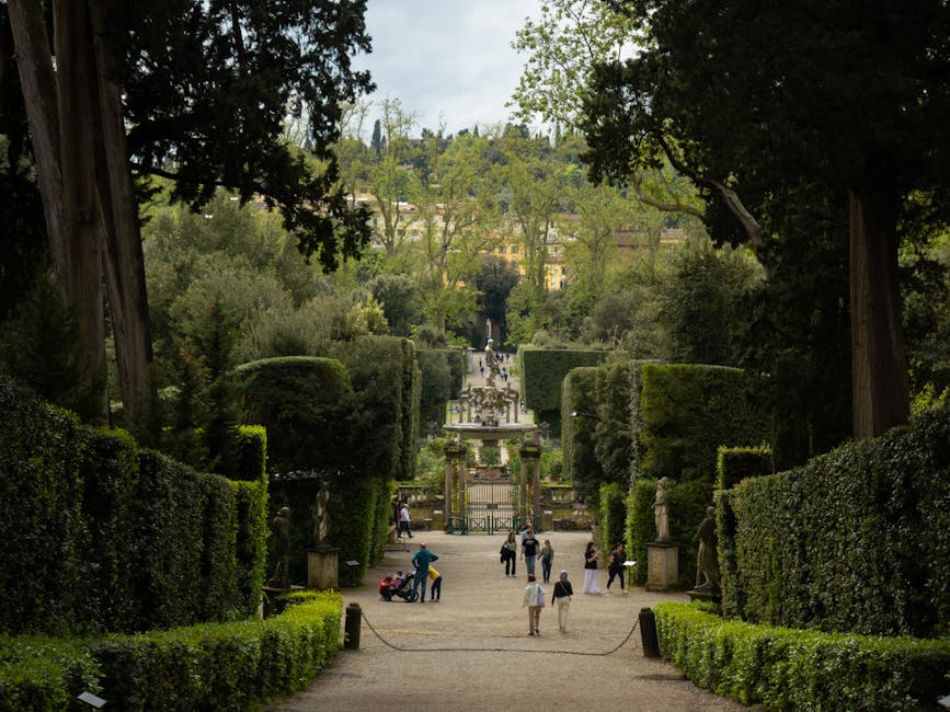A statue lined pathway in the Boboli Gardens