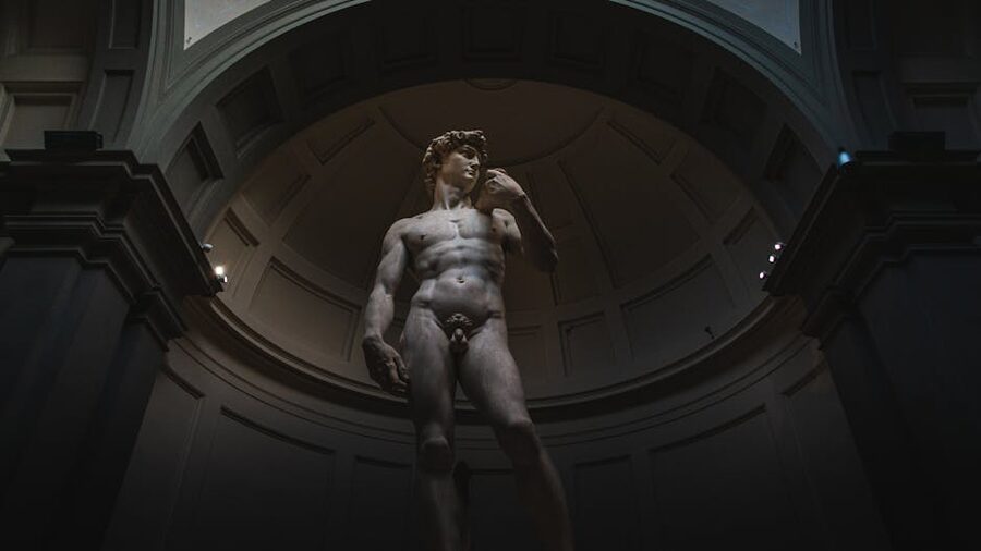 Low angle view of David's torso showing musculature detail