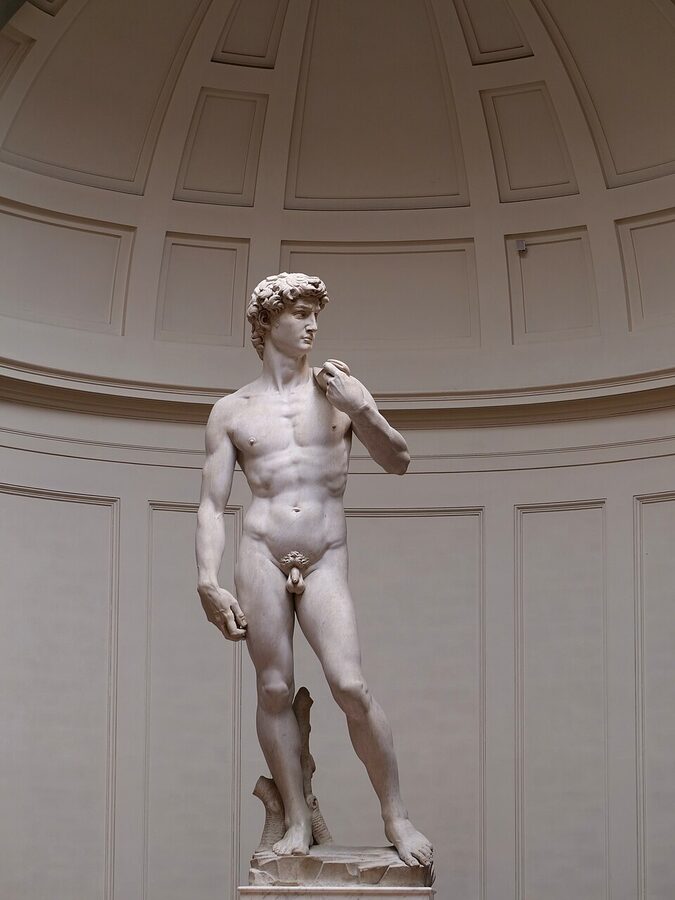 Close-up detail of Michelangelo's David showing facial expression