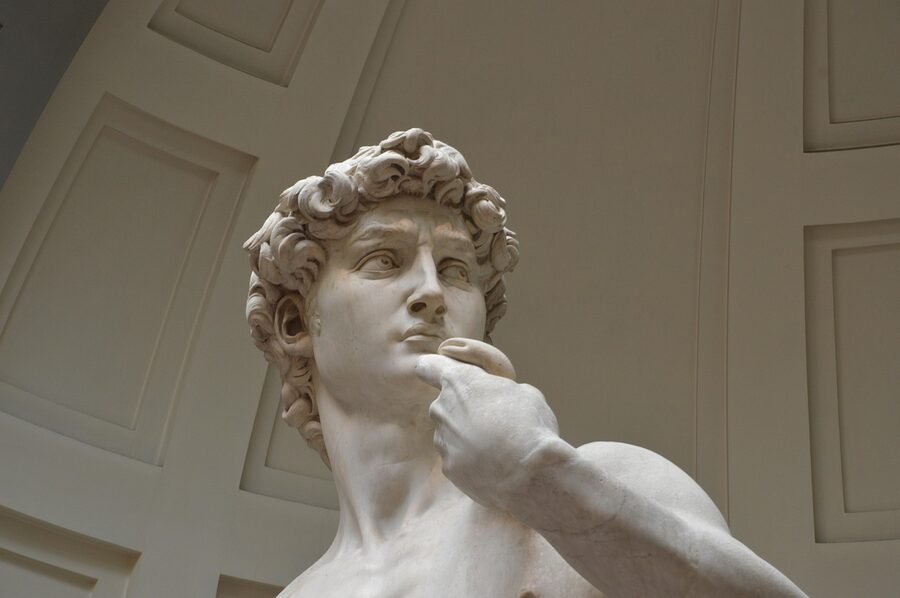 The David statue showing the back of the figure