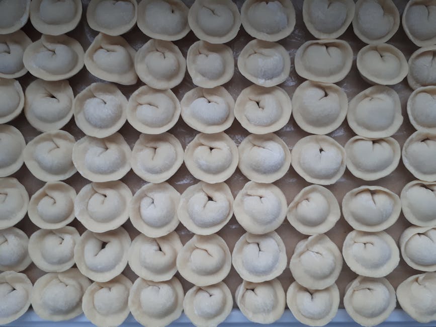 Raw tortellini in rows ready to be cooked