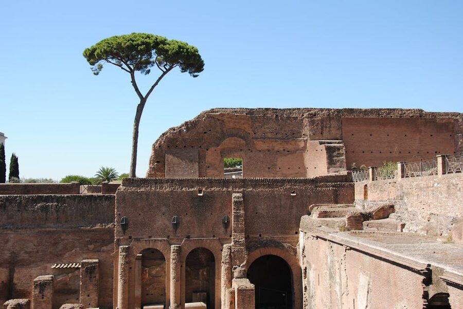 Roman ruins with a distinctive cypress tree under blue sky