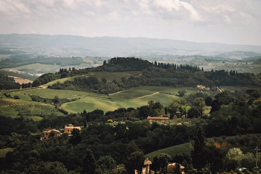 Rolling hills and trees in the Tuscan countryside