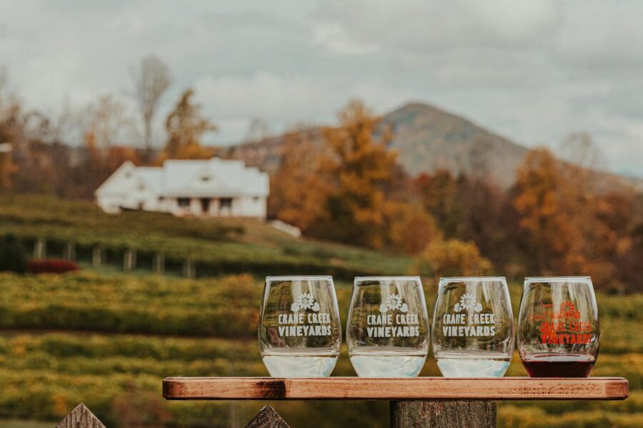 Wine glasses set on table near vineyards with mountain view