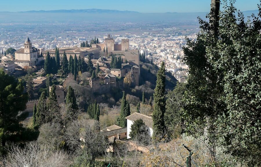 The Alhambra surrounded by tall cypress trees overlooking Granada