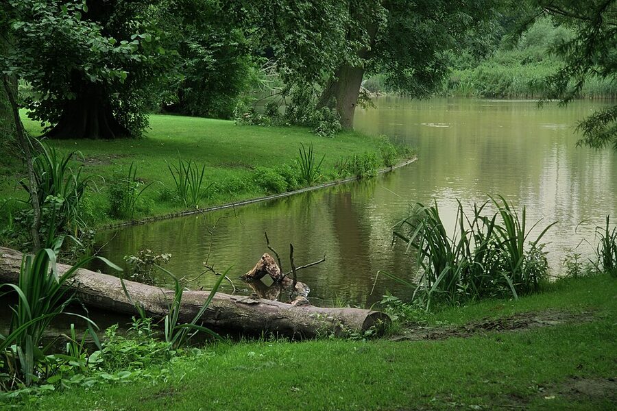 Vondelpark Amsterdam pond and trees