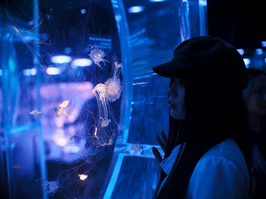 Visitor watching jellyfish in blue-lit aquarium