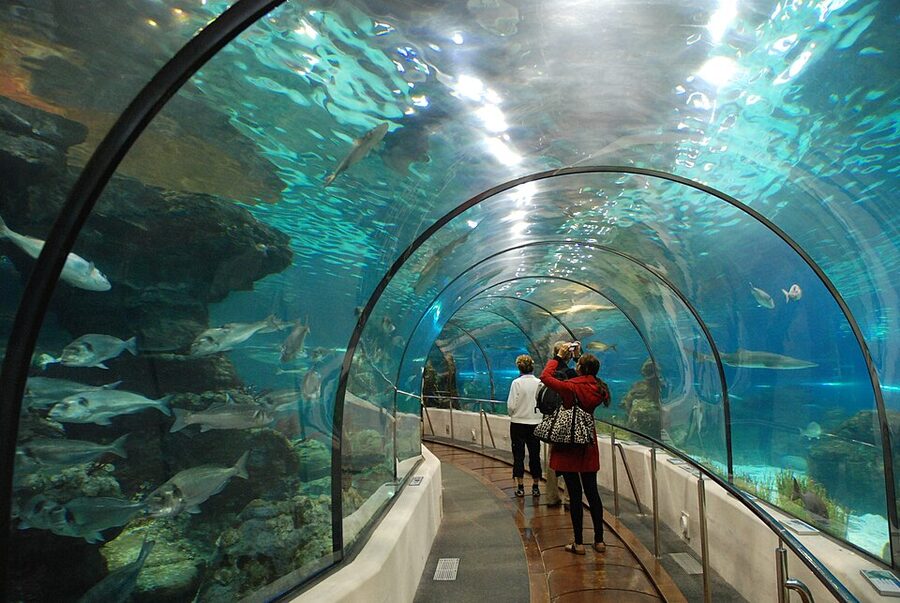 Where to Stop Longest in Barcelona Aquarium