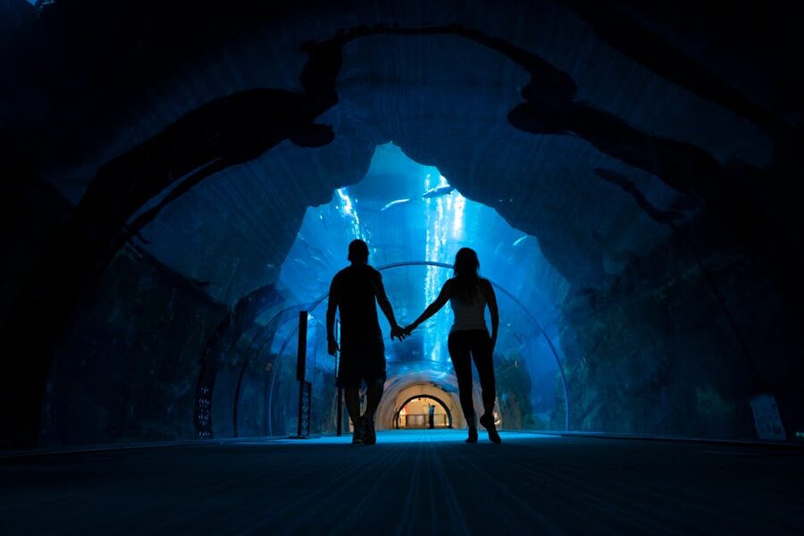 Couple walking through aquarium tunnel silhouetted