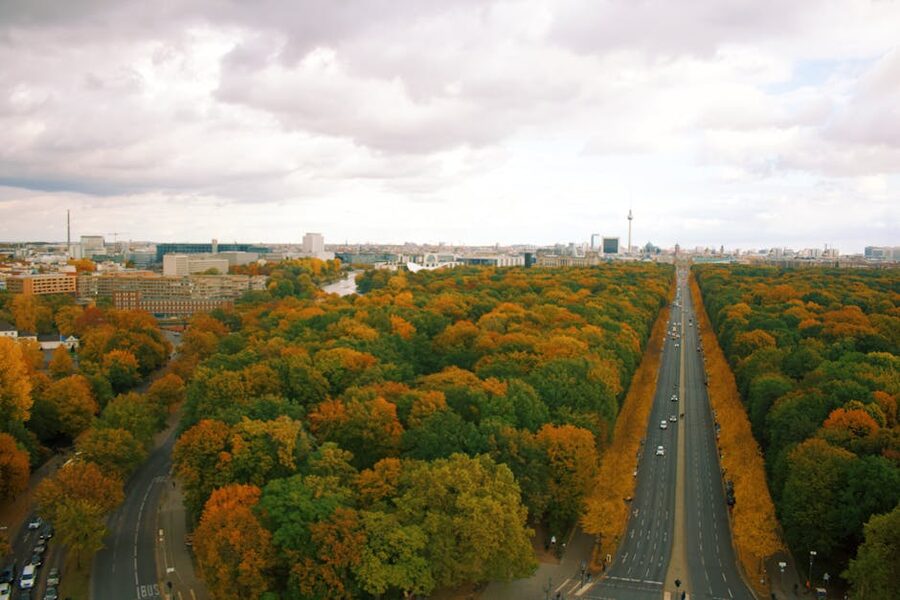Aerial view of the Tiergarten in Berlin in autumn
