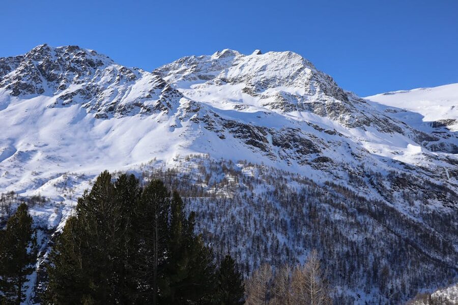 View of snow-covered Alps from a Bernina Express window