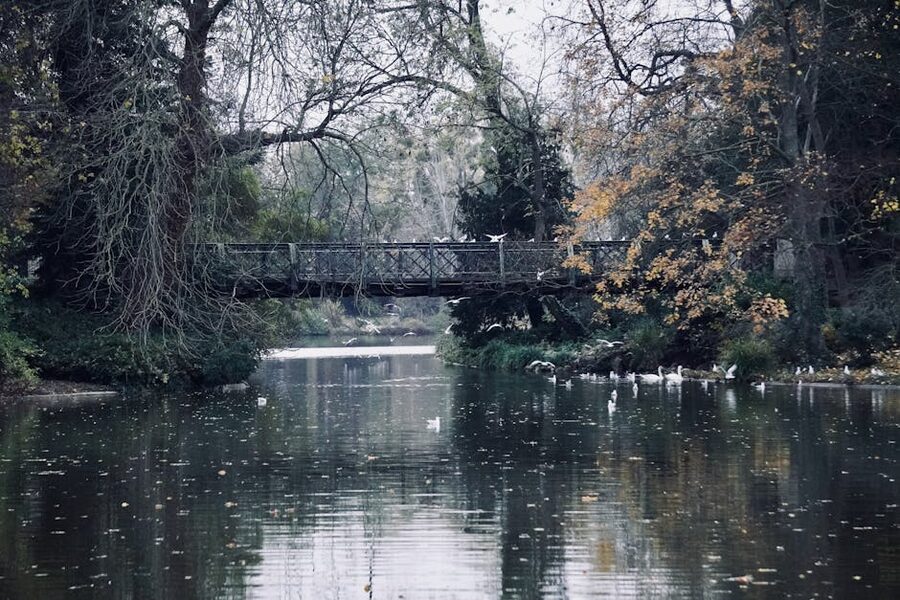 Wooden bridge over a lake in the Bois de Boulogne Paris