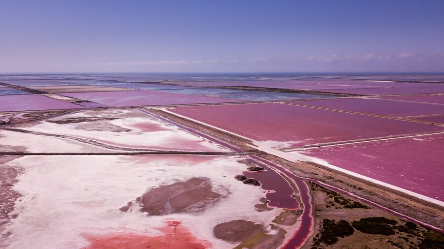 Aerial view of pink salt flats in the Camargue