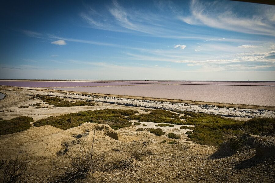 Pink saltscape Salin-de-Giraud Camargue