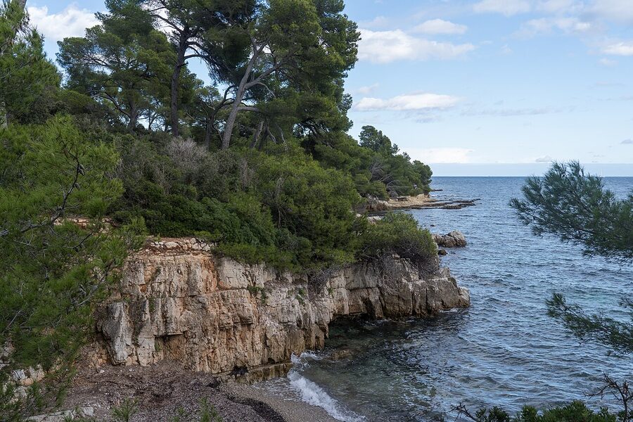 The coast of Sainte-Marguerite