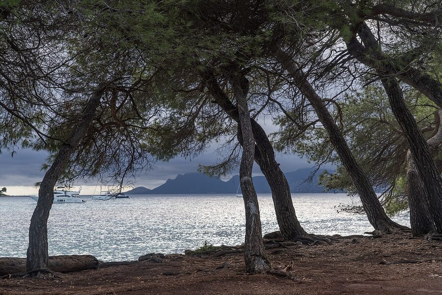A small cove on Sainte-Marguerite