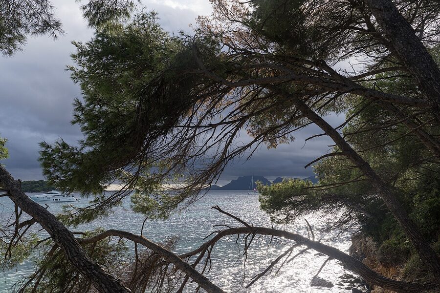 Forest trail on Sainte-Marguerite