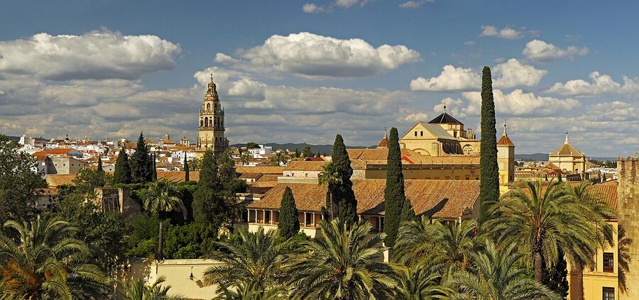 The Mezquita-Cathedral seen from the Alcazar Lions Tower
