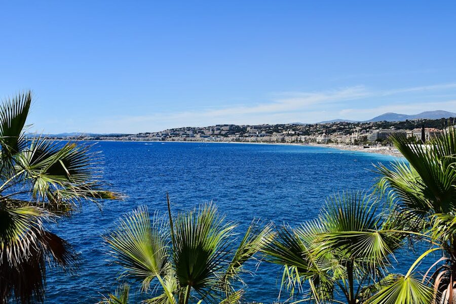 Palm trees and turquoise Mediterranean coast on the Cote d'Azur