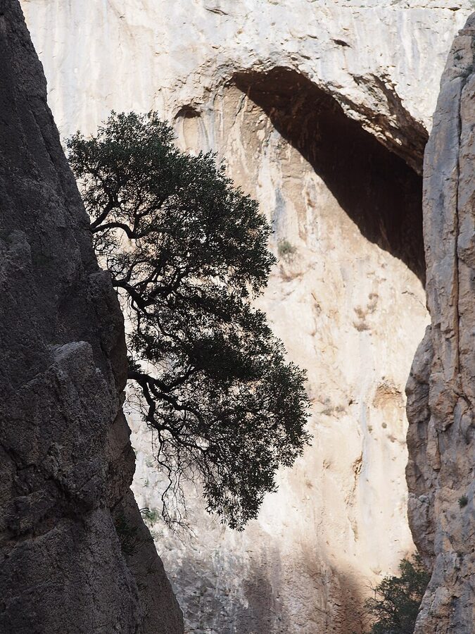 Aerial view of the Desfiladero de los Gaitanes gorge in Andalusia