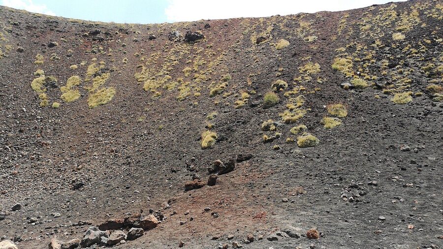 Walkers crossing the Silvestri craters lava field