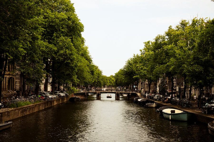 Amsterdam canal with boats and trees city setting