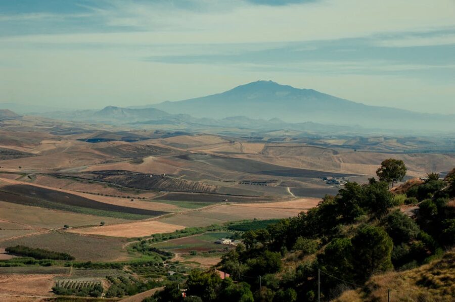Fields and vineyards near Mount Etna in Sicily