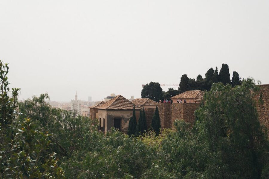 Málaga old town walls and rooftops