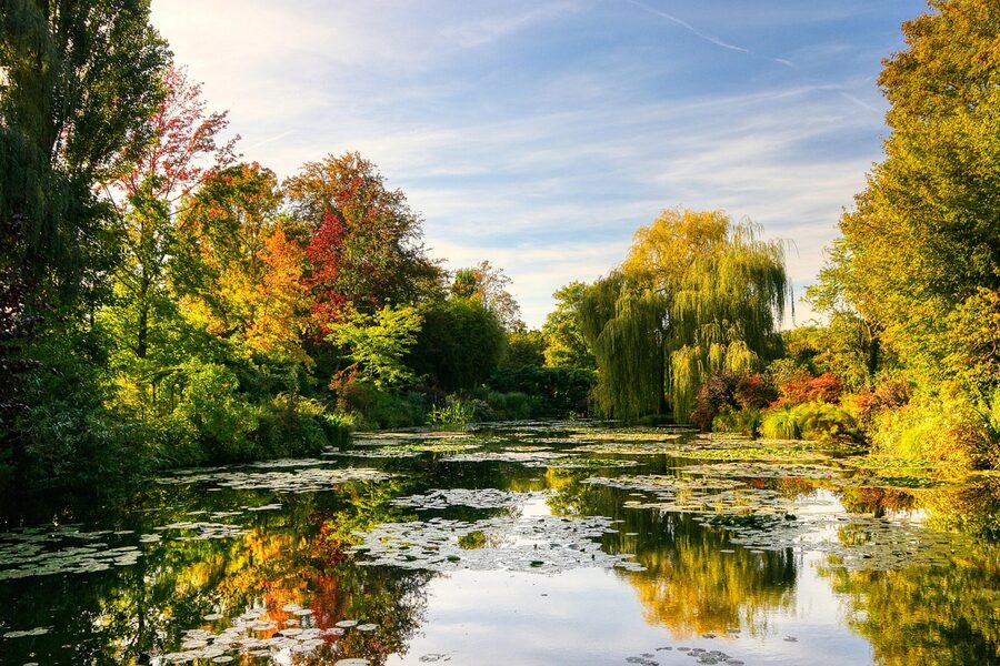 Japanese pond at Monet Giverny garden