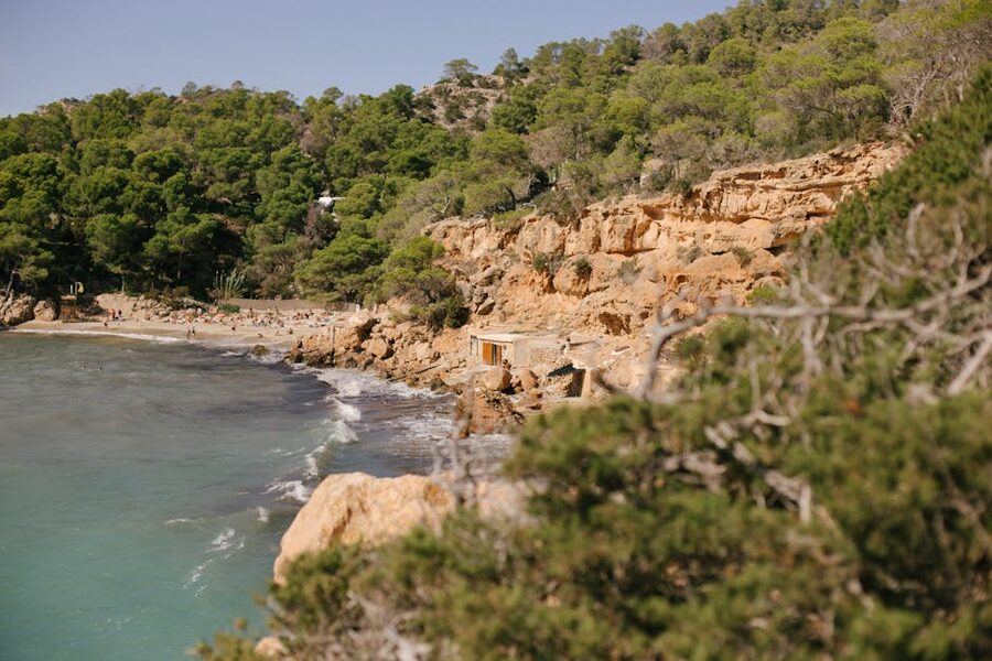 Tranquil Ibiza beach with rocky cliffs and lush greenery