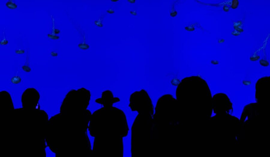 Silhouettes of visitors watching jellyfish in a blue-lit aquarium