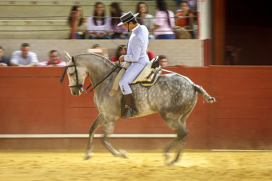 A doma vaquera rider in traditional Spanish stockman dress