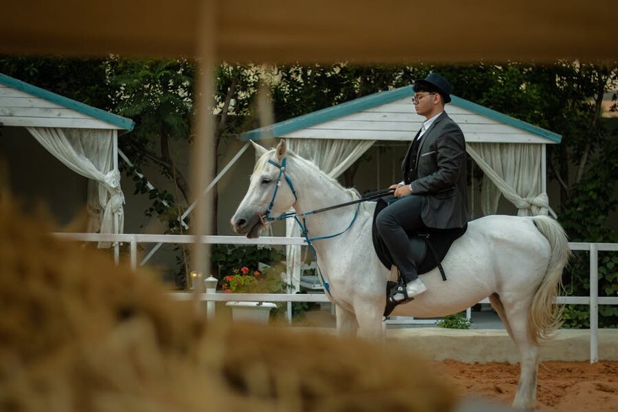 An elegant rider on a white horse outdoors at an equestrian facility