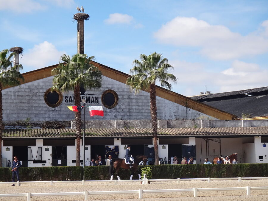 The Real Escuela Andaluza school buildings and grounds