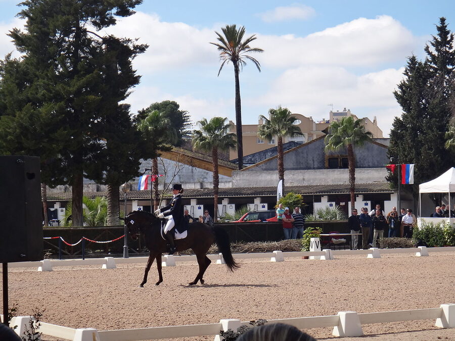 The Real Escuela Andaluza grounds and main building in Jerez