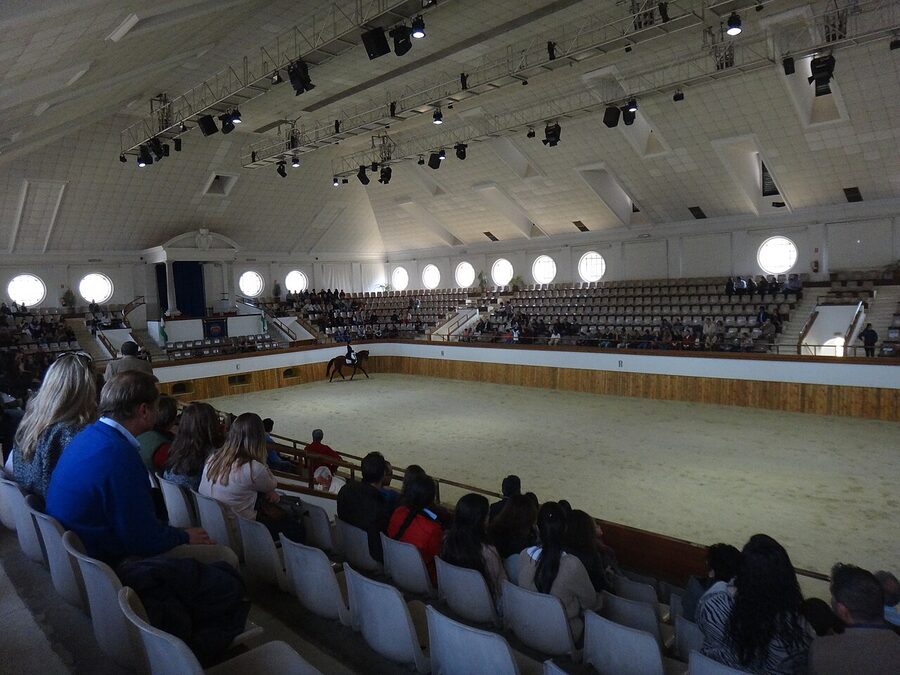 The Real Escuela arena seating and ring