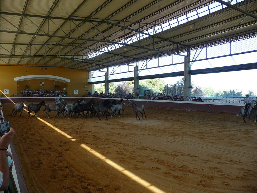 The Yeguada de la Cartuja stud, Jerez de la Frontera