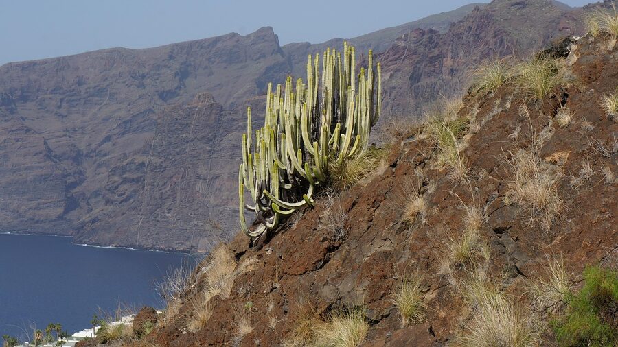 Tenerife coast Canary Islands