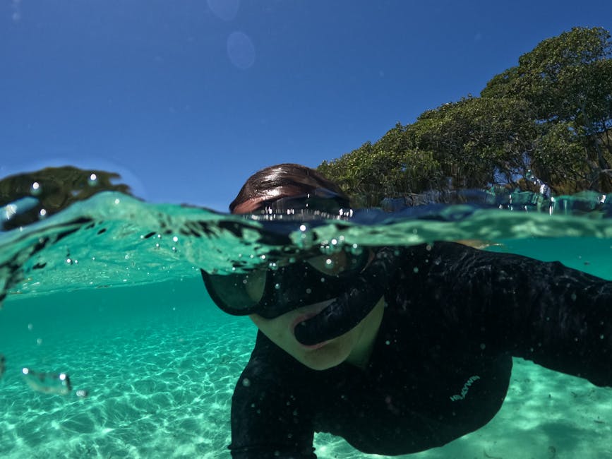 Snorkeler near rocky coast