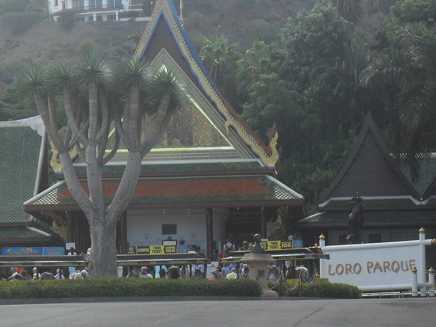 Loro Parque grounds in Puerto de la Cruz, Tenerife