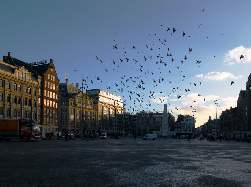 Pigeons over Dam Square Amsterdam with historic buildings