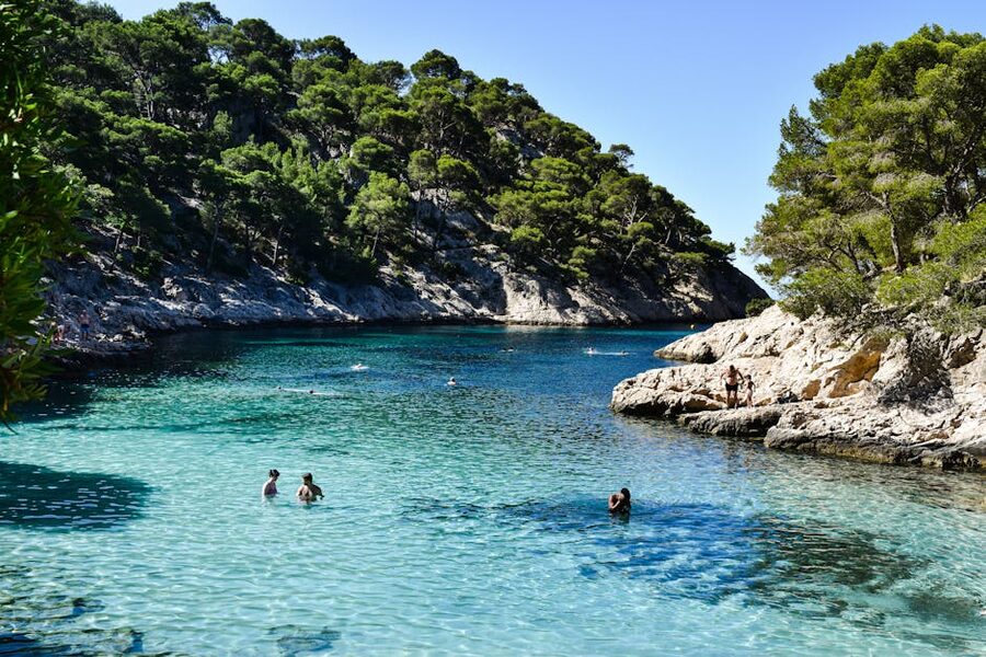 Calanque cove summer landscape Provence