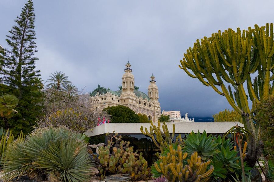 Casino Monte Carlo surrounded by Mediterranean cacti and foliage