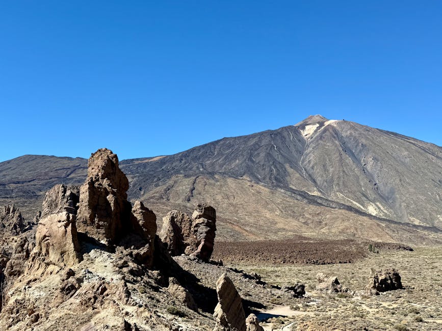 Yellow flowering broom shrubs in front of Mount Teide