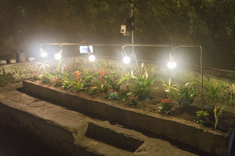 Underground plant cultivation experiment Naples