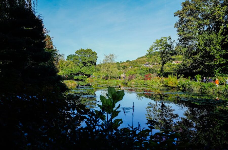 Reflections on Monet's water garden at Giverny